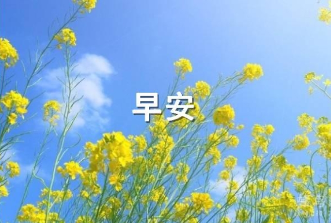 女人高情商的正能量句子