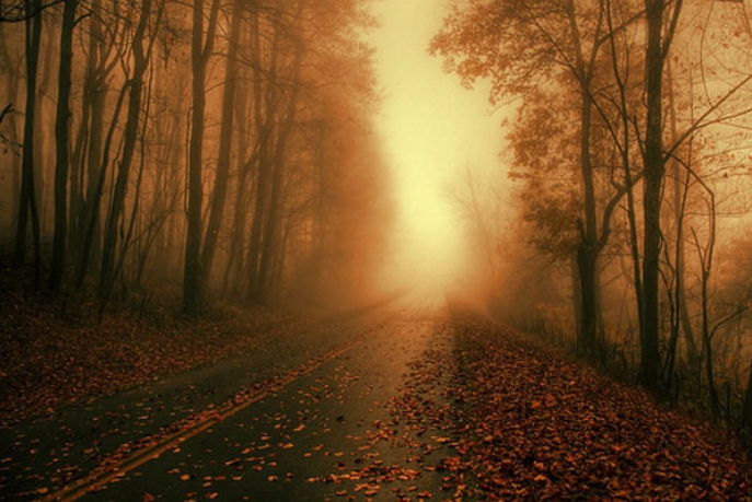 关于心情不好的语录