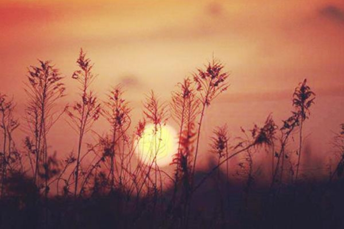 酒伤身体的伤感句子