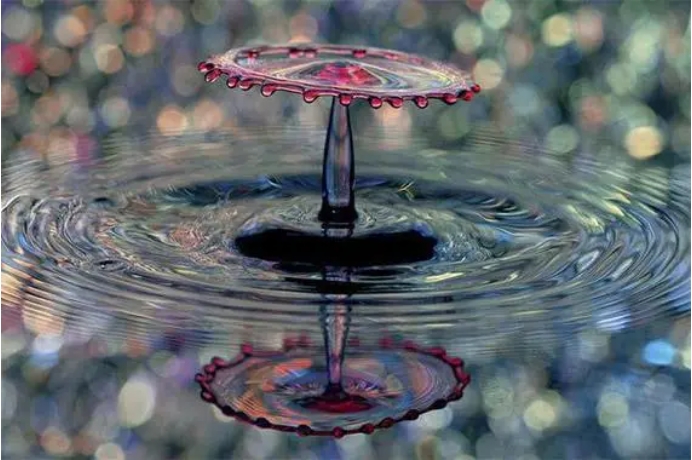 感情重新开始的句子励志