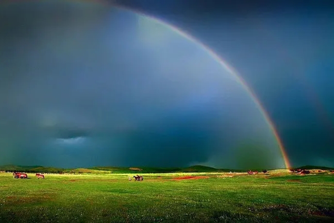 风雨过后总会有彩虹的励志句子