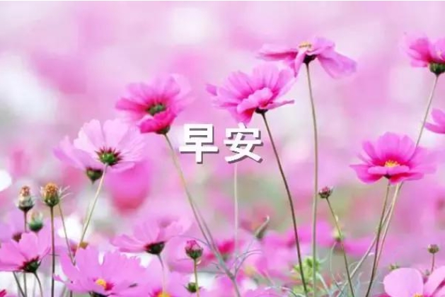 早上发朋友圈的正能量句子