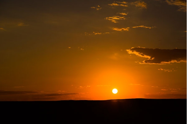 爱情很悲伤的句子