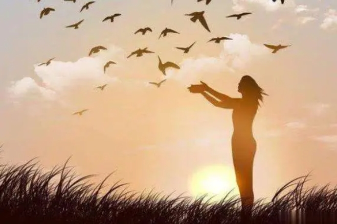 兵荒马乱比喻爱情的句子