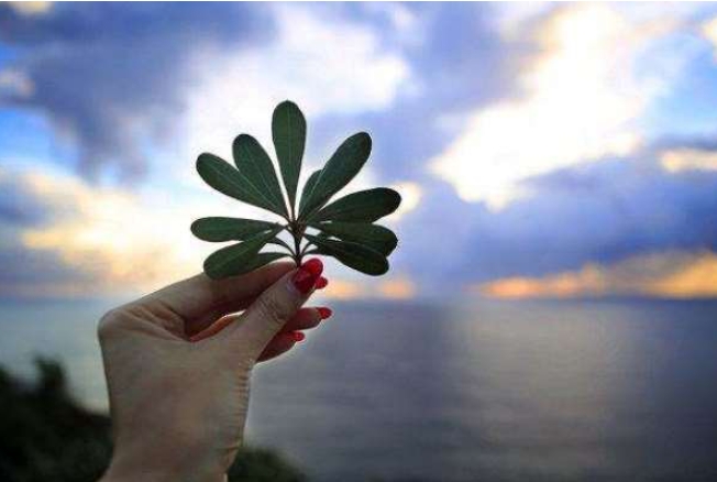 发朋友圈感慨生活的句子