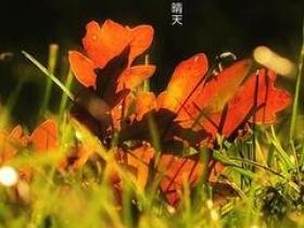 关于为人处世的谚语