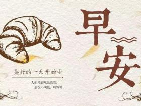 奋斗的正能量的句子经典语句