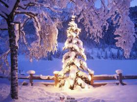 适合自己的心情语录英文翻译