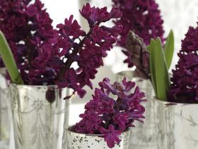 2020拼搏努力正能量的句子