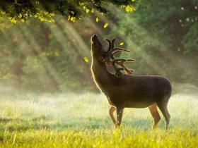 爱出者爱返,福往者福来。