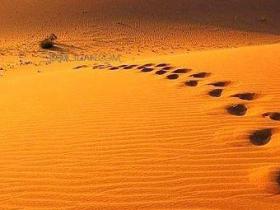 关于人生感悟的句子