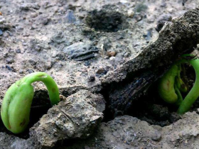 励志的故事两篇,励志的故事简短