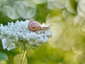心灵鸡汤经典语录励志