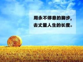 励志语录经典短句