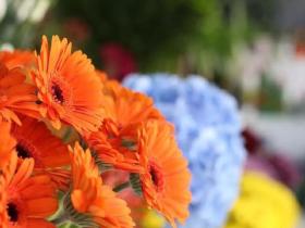 优美句子摘抄大全