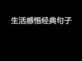 生活感悟经典句子