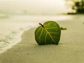 40岁女人感悟人生的句子