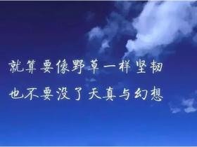 冲刺业绩的正能量句子