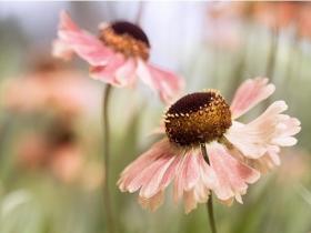 明确目标,励志前行:目标设定语录集