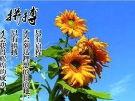 人生励志语录:激发潜能,书写辉煌篇章