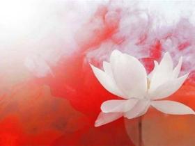 禅语人生:十五句感悟启迪智慧心田